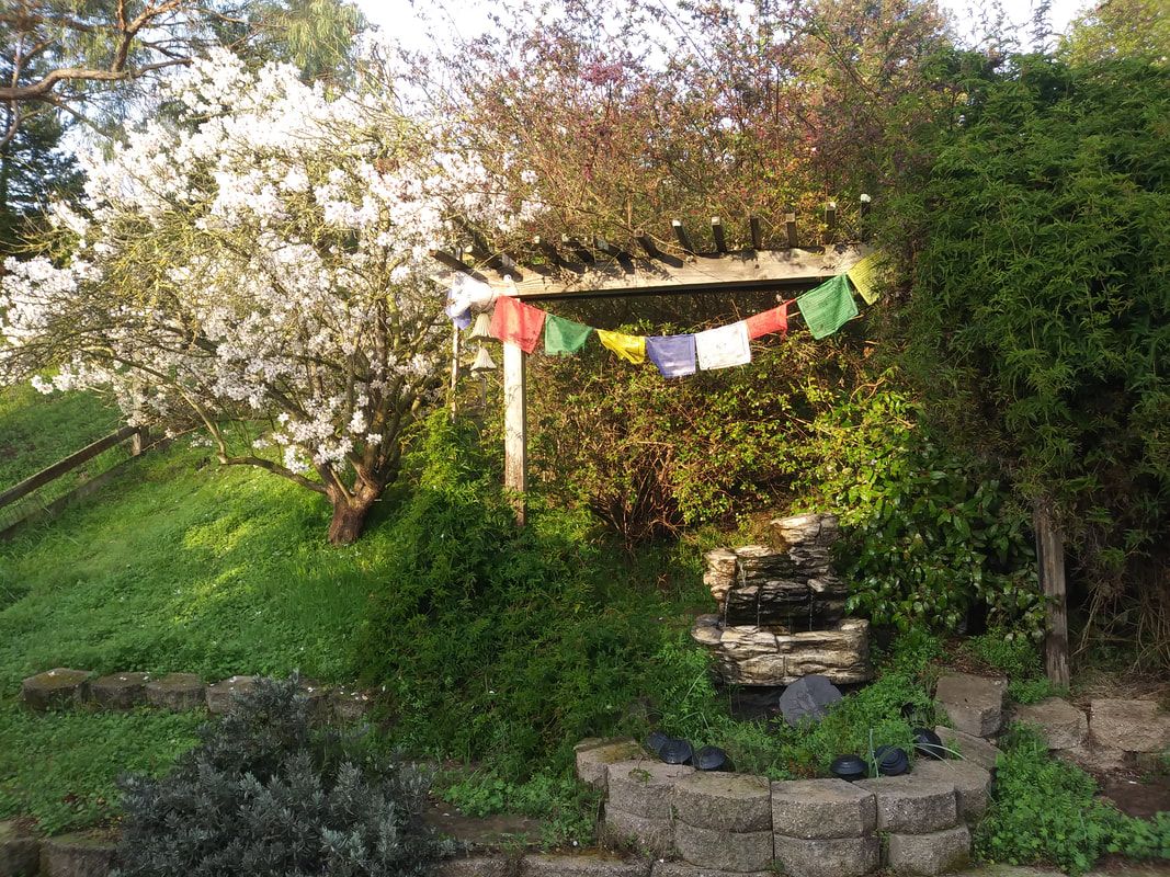 green backyard with fountain